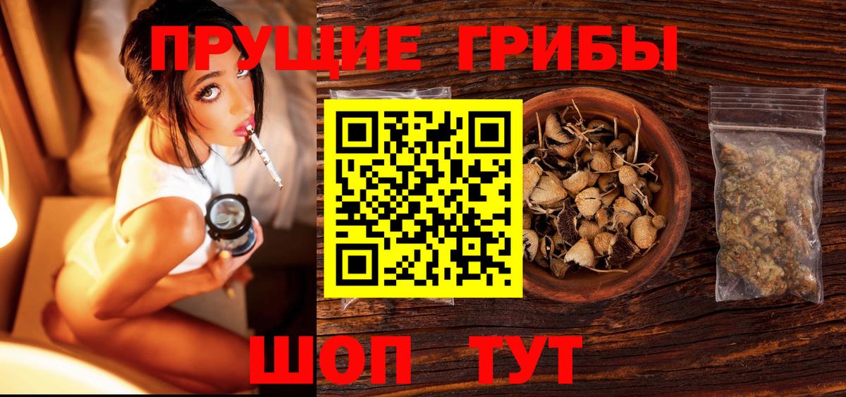 Галлюциногенные грибы GOLDEN TEACHER Рубцовск