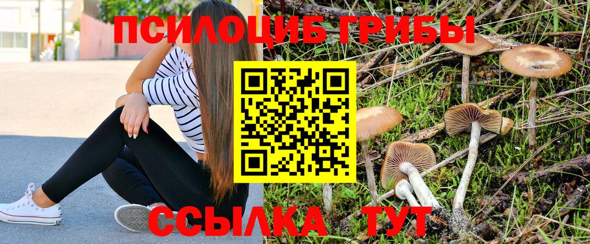 Галлюциногенные грибы мухоморы  Вход с VPN  Рубцовск  Псилоцибиновые грибы Psilocybine cubensis 